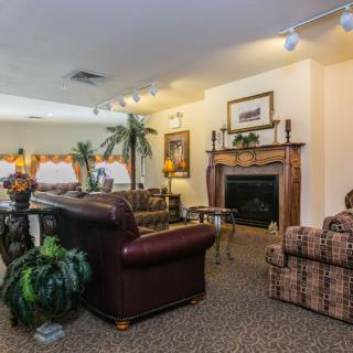 A spacious living room featuring leather and patterned sofas, a central fireplace, decorative plants, and artwork on the walls.