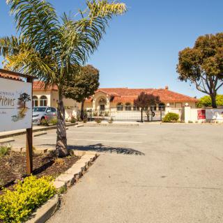 A sunny view of a building entrance surrounded by palm trees and a driveway.