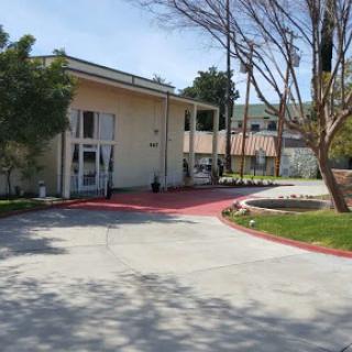 A view of a modern building surrounded by trees and a paved area.