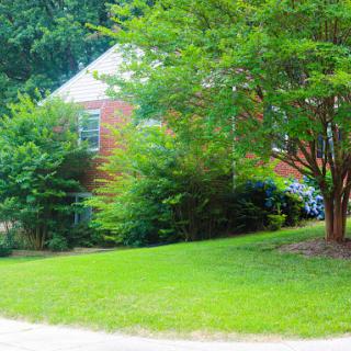 A charming brick house surrounded by lush greenery and a well-maintained lawn.