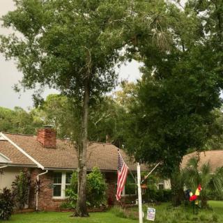 A suburban house with a well-maintained yard, featuring trees and an American flag.