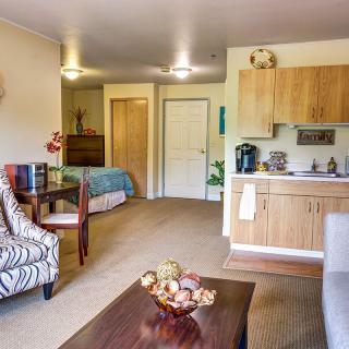 A cozy and compact studio apartment featuring a combined living, dining, and sleeping area with a kitchenette.
