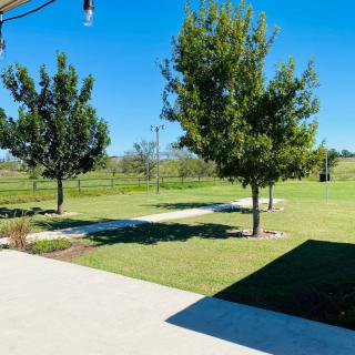 A sunny day in a well-maintained backyard with a few trees and a green lawn.
