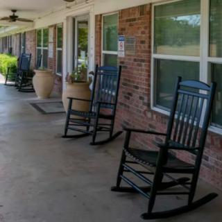 A row of black rocking chairs on a brick porch with large potted plants.