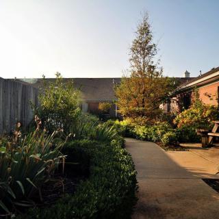 A serene garden pathway bathed in sunlight, surrounded by lush plants and trees.