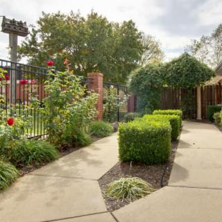 A well-maintained garden with a paved pathway and lush greenery.