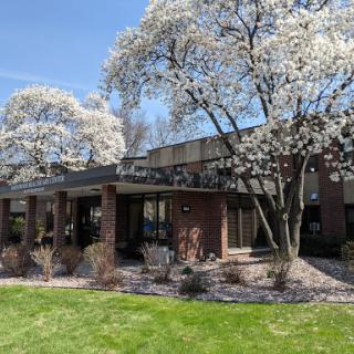 A charming building surrounded by blooming trees and lush greenery on a sunny spring day.