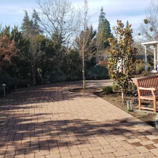 A tranquil outdoor patio area with a paved pathway and wooden bench surrounded by trees.