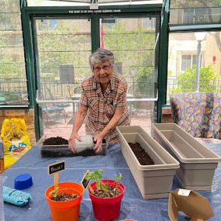 A senior individual preparing pots for planting in an indoor garden setting.