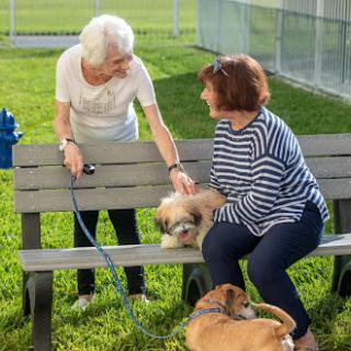 Two women enjoying time at the park with their dogs.