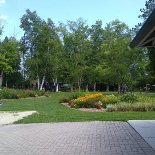 A scenic garden landscape with trees and colorful flowers.