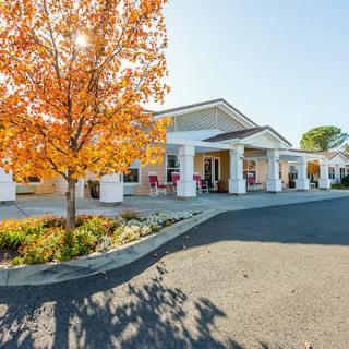 A building with an autumn-colored tree and a driveway on a sunny day.