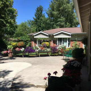 A beautiful garden in front of a house on a sunny day.