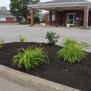 A landscaped area with mulch and plants in front of a building entrance near a parking lot.