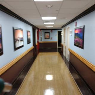 A well-lit hallway adorned with paintings on the walls, featuring blue paint and wooden accents.