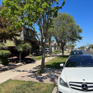 A sunny day in a residential neighborhood, showcasing a parked car and lush trees lining the street.