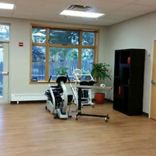 A gym room with exercise equipment and plants near large windows.