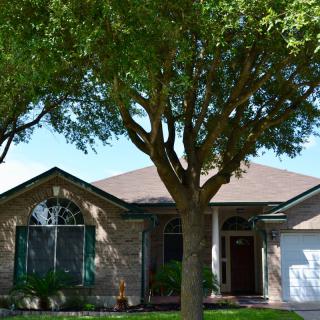 A suburban house with a large tree in the front yard.