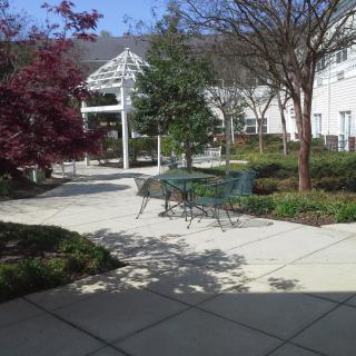 A sunny outdoor patio area with tables and chairs surrounded by trees and plants.