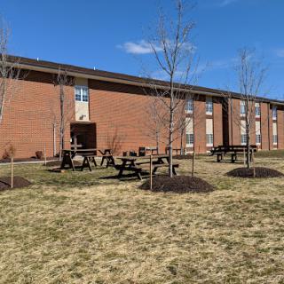 A view of a brick building with picnic tables and newly planted trees on a sunny day.