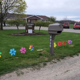 A suburban mailbox surrounded by colorful flower decorations in a grassy yard.
