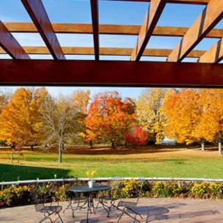 A scenic view of a terrace with outdoor seating, overlooking vibrant autumn trees.