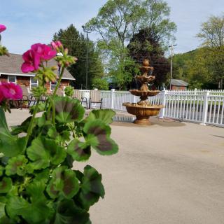 A serene garden with a fountain and vibrant flowers in the foreground.