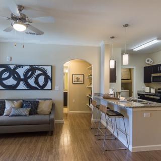 A modern open-concept living room and kitchen area with contemporary decor.