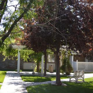 A serene garden setting with a walkway, benches, and lush trees.
