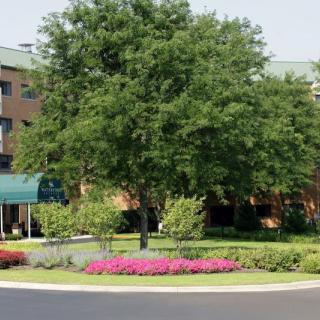 A beautiful garden area with a large tree and vibrant flowers in front of a building.
