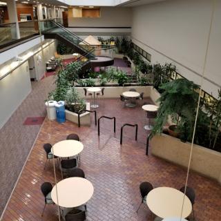 A spacious indoor courtyard featuring tables and chairs surrounded by greenery.