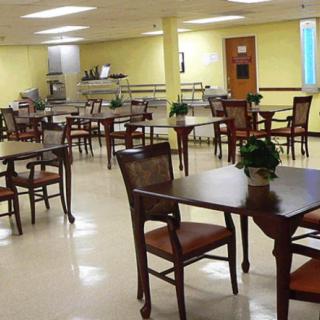 An empty dining room with neatly arranged tables and chairs, adorned with small plants.