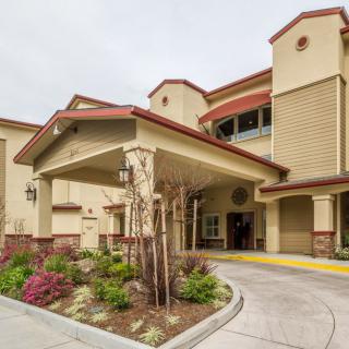 Modern hotel entrance with landscaped surroundings.