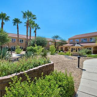 A sunlit courtyard with palm trees and desert plants surrounding a modern building.
