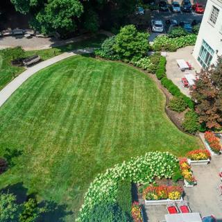 Aerial view of a well-maintained garden with lush green lawn and surrounding plants.