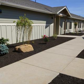 A neatly landscaped area featuring a pathway alongside a building, surrounded by mulch, plants, and rocks.