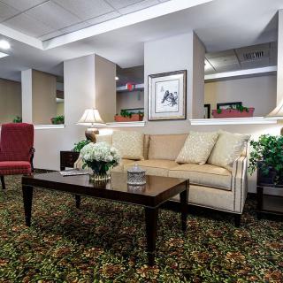 A cozy living room with a sofa, coffee table, and elegant decor.