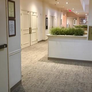 A well-lit hallway with carpeted flooring and potted plants.