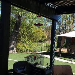 A peaceful backyard garden featuring a covered patio area and lush green surroundings.