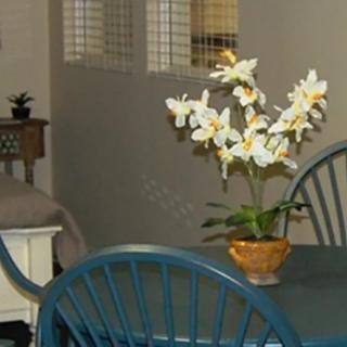A cozy interior featuring a dining table with blue chairs and a vase of white flowers.