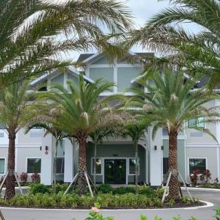 A modern building entrance surrounded by palm trees and landscaping.
