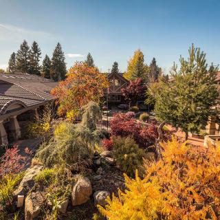 A beautiful autumn garden with vibrant foliage and diverse trees under a clear sky.