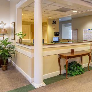 A welcoming reception area with a desk and decorative plants.