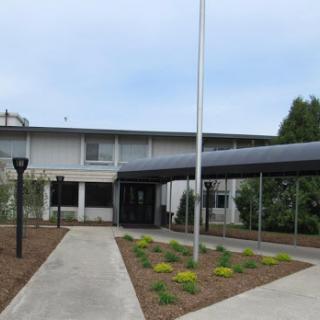 A view of a modern building with a landscaped area and pathway.