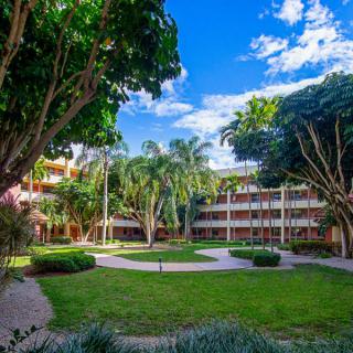 A serene courtyard with lush greenery and surrounding buildings under a clear blue sky.