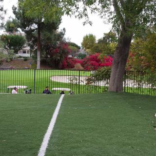 A serene park landscape with trees, vibrant flowers, and a grassy area bordered by a fence.