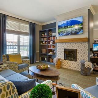 A cozy living room with a fireplace, bookshelves, and comfortable seating.