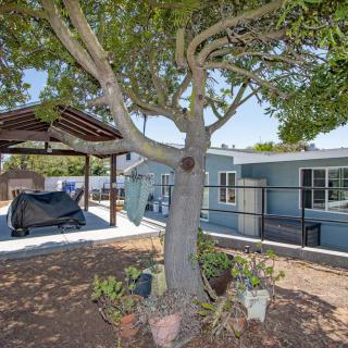 A backyard view featuring a large tree providing shade next to a patio area with outdoor furniture.