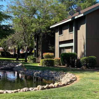 A serene apartment complex with a pond and lush greenery.