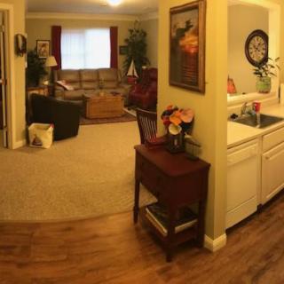 Cozy living room with a sofa and adjacent kitchen area.